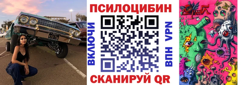 нарко площадка формула  Черепаново  Галлюциногенные грибы мицелий 